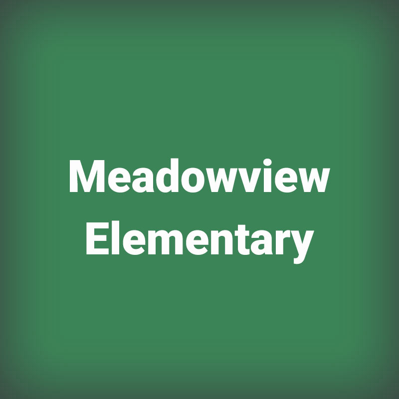 11Meadowview Elementary